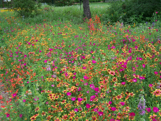 Riverside Nature Center